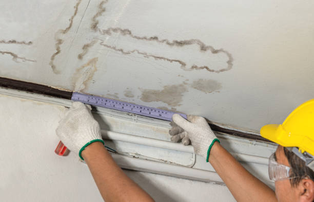 Affordable Water Damage Repair solutions in Silverhill, AL